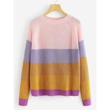 Shein Plus Color Block Raglan Sleeve Sweater