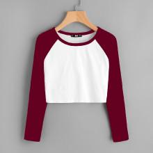 Shein Contrast Raglan Sleeve Crop T-shirt