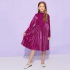 Shein Toddler Girls Pleated Velvet Dress