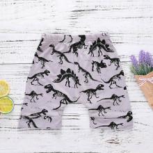 Shein Boys Dinosaur Fossil Print Shorts