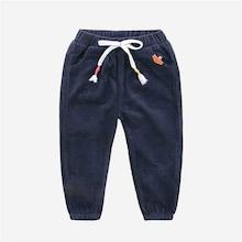 Shein Toddler Boys Drawstring Waist Corduroy Pants