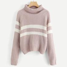 Shein Raglan Sleeve Rolled Neck Striped Sweater