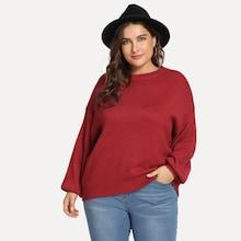 Shein Plus Solid Round Neck Jumper