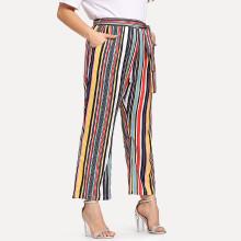Shein Plus Drawstring Waist Striped Pants