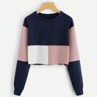Shein Colorblock Crop Sweatshirt
