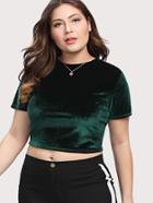 Shein Velvet Crop T-shirt