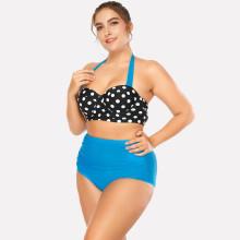 Shein Plus Polka Dot Bikini Set