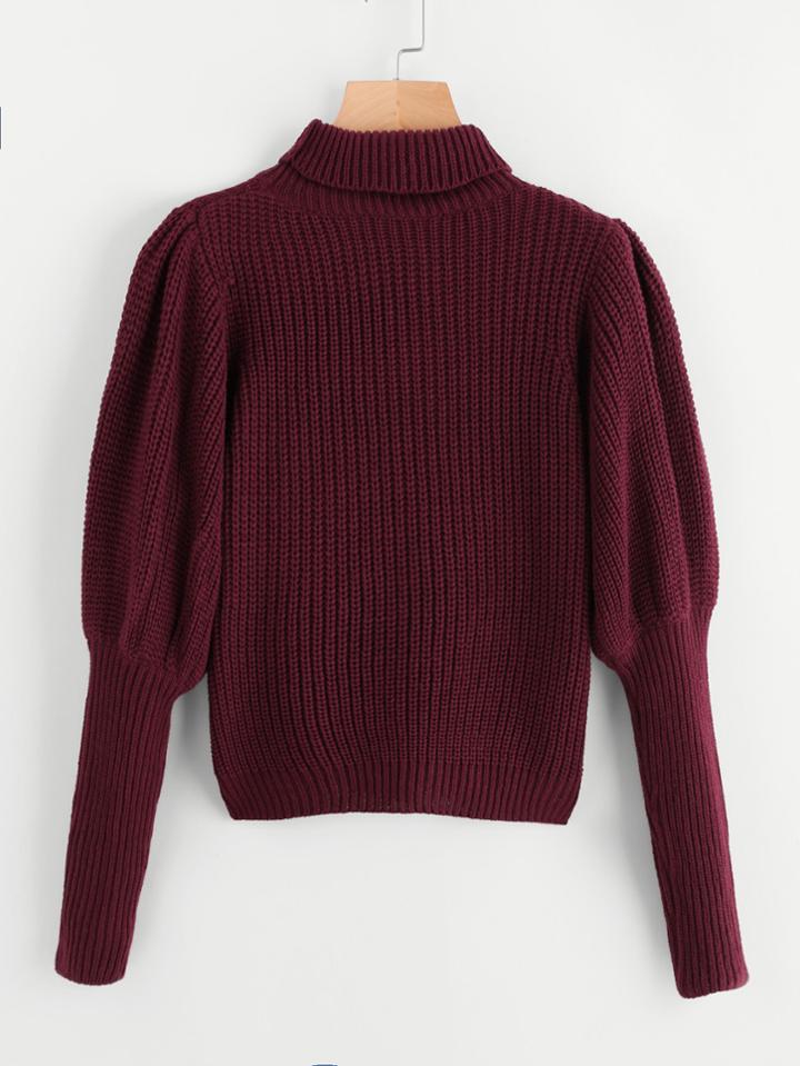 Shein Rolled Neck Gigot Sleeve Jumper