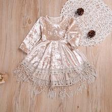 Shein Toddler Girls Fringe Lace Hem Velvet Dress