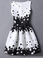 Shein Polka Dot Jacquard A-line Dress