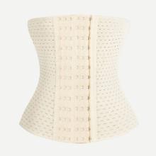 Shein Plus Hollow Out Corset Shaper