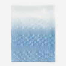 Shein Ombre Light Weight Scarf