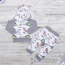 Shein Toddler Boys Animal Print Hoodie & Pants