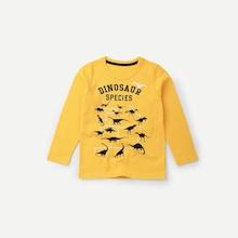 Shein Toddler Boys Dinosaur & Letter Print Tee