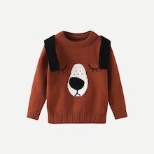 Shein Toddler Boys Cartoon Print Slit Hem Sweater