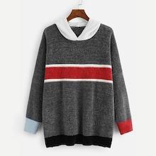 Shein Plus Color Block Hoodie Jumper