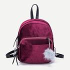Shein Pom Pom Decor Velvet Backpack