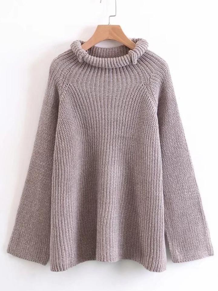 Shein Rolled Neck Raglan Sleeve Sweater