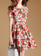 Shein Rose Print Mesh A-line Dress