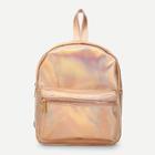 Shein Laser Pocket Front Backpacks Bag