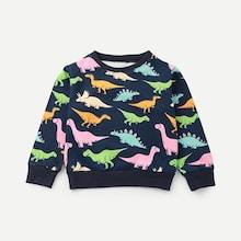 Shein Toddler Boys Dinosaur Print Sweatshirt