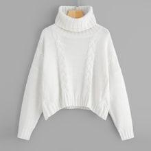 Shein Plus Rolled Neck Cable Knit Jumper