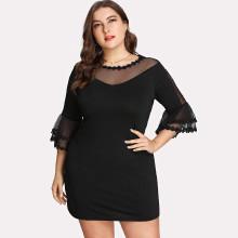 Shein Plus Mesh Panel Crochet Lace Trim Dress