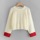 Shein Raglan Sleeve Jumper