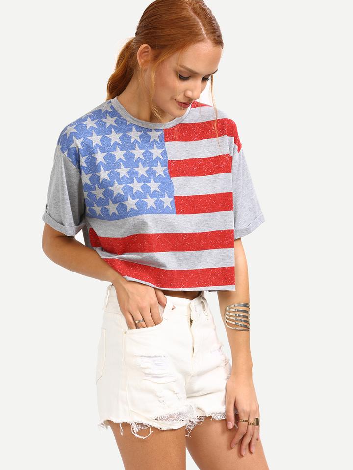 Shein Stars And Stripes Print Crop T-shirt - Grey