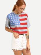Shein Stars And Stripes Print Crop T-shirt - Grey