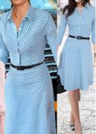 Rosewe Polka Dot Print Turndown Collar Blue Dress