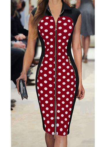 Rosewe Zip Closure Turndown Collar Printed Sheath Dress