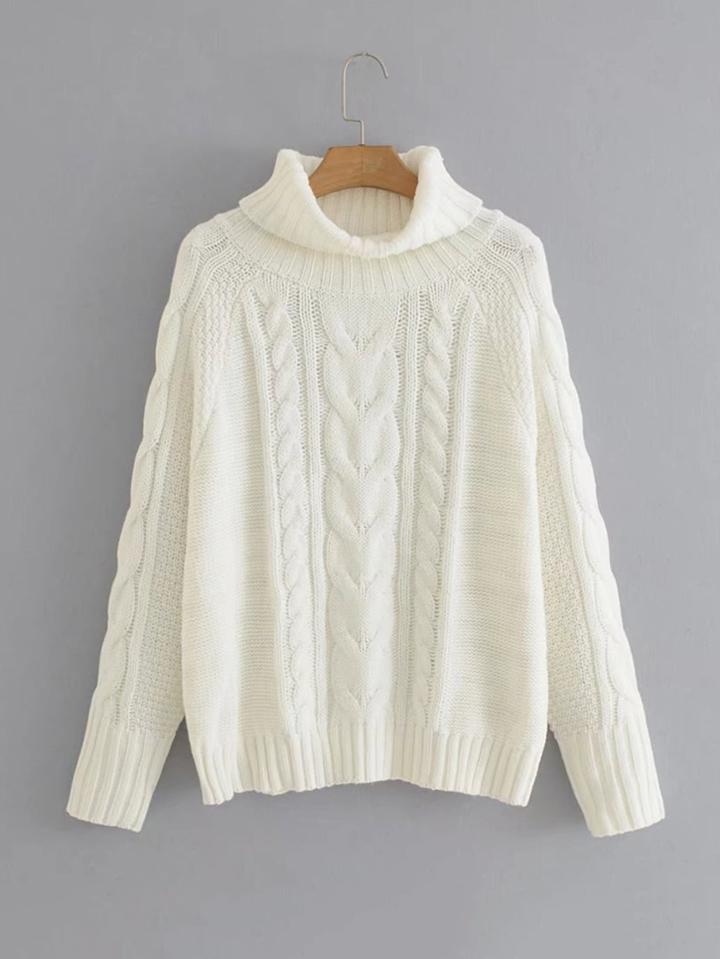 Shein Raglan Sleeve Turtleneck Cable-knit Sweater