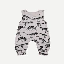 Shein Boys Dinosaur Print Jumpsuits