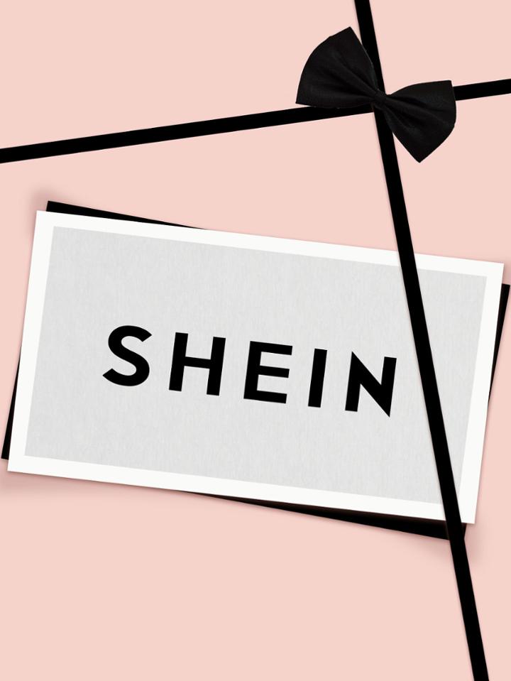 Shein Slogan Print Long Sleeve T-shirt