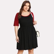 Shein Plus Contrast Raglan Sleeve Skater Dress