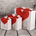Shein Contrast Heart Paper Bag 3pcs