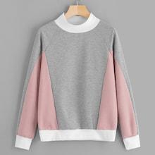 Shein Raglan Sleeve Contrast Panel Sweatshirt