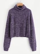 Shein Raglan Sleeve Rolled Neck Crop Sweater