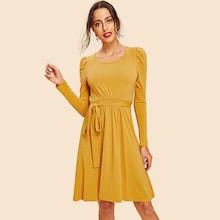Shein Self Belted Flare Dress