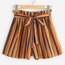 Shein Frill Trim Striped Shorts