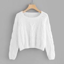 Shein Raglan Sleeve Loose Knit Jumper