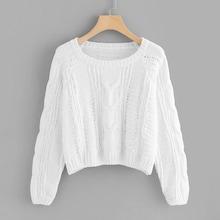 Shein Raglan Sleeve Loose Knit Jumper