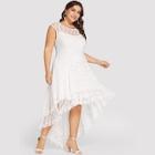 Shein Plus Tiered Dip Hem Lace Dress