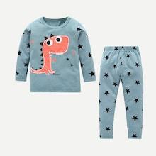 Shein Toddler Boys Dinosaur & Geometric Print Tee With Pants