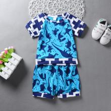 Shein Boys Dinosaur Print Tee With Shorts