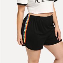 Shein Plus Rainbow Striped Tape Side Dolphin Shorts