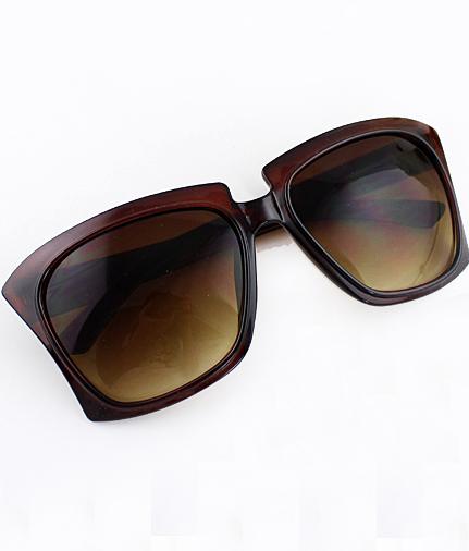 Shein Brown Chunky Rim Sunglasses