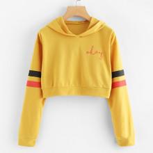 Shein Varsity Striped Letter Print Crop Hoodie