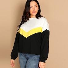 Shein Plus Drop Shoulder Colorblock Sweatshirt